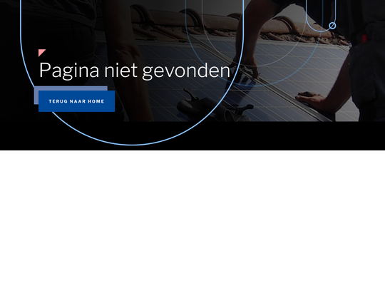 NieuwenhuizenBV Logo
